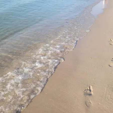 Lodge Letniskowy Mlyn *